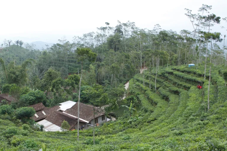 tempat wisata viral di Jogja