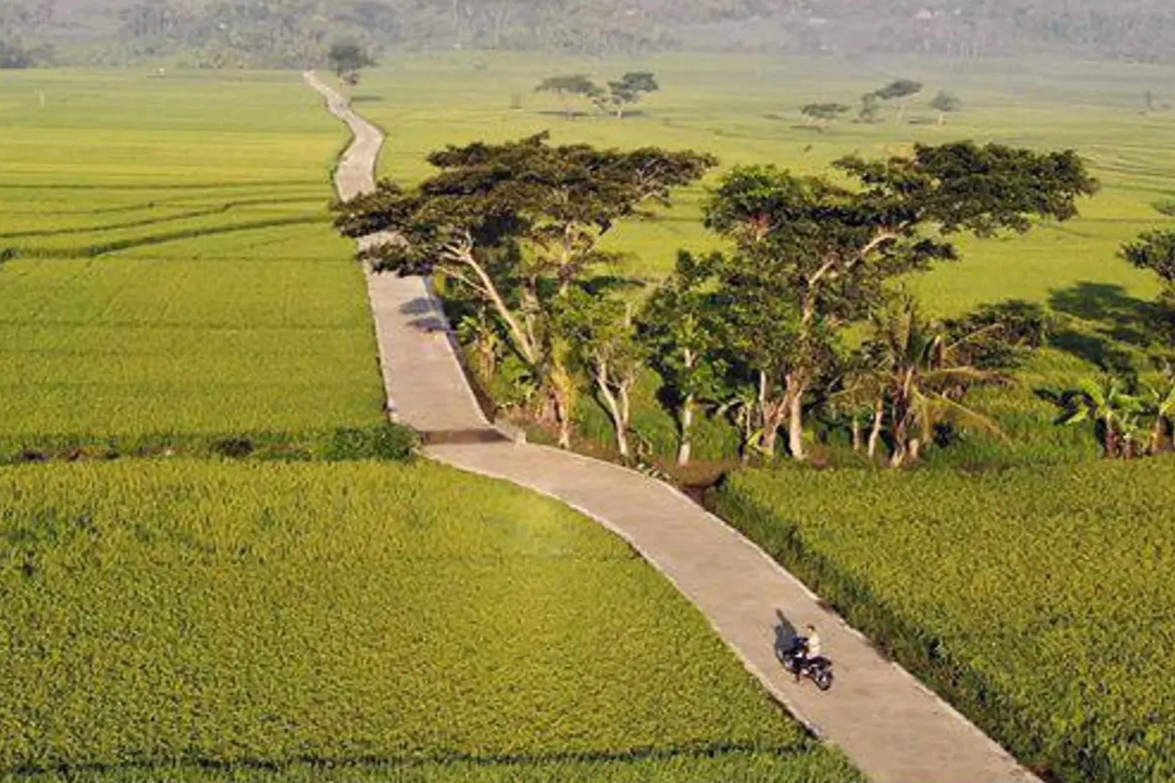 5 Tempat Jogging di Jogja: Nyaman dan Instagramable